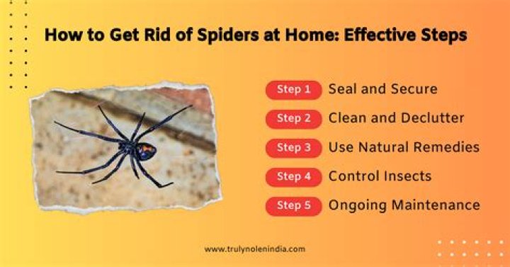 5 ways to eliminate spiders from your home – for just £4