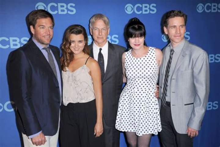 All we know about NCIS' Pauley Perrette and Mark Harmon's feud