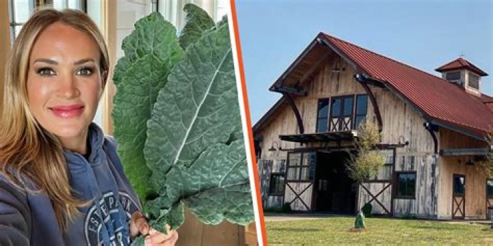 Carrie Underwood unveils 'beautiful' new addition to 400-acre family farm – see photos