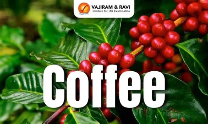 Coffee: Latest stories and News