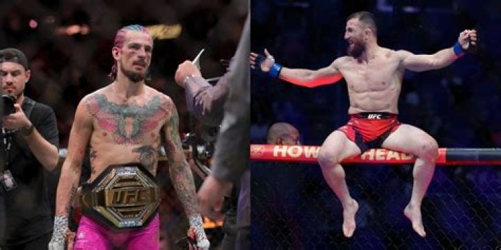 Conner O’Malley Height, Weight, Net Worth, Age, Birthday, Wikipedia, Who, Nationality, Biography