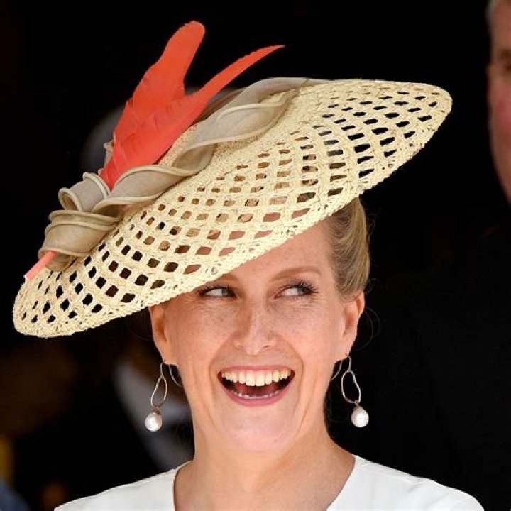 Duchess Sophie shines in glittering fit-and-flare dress for ritzy French gala