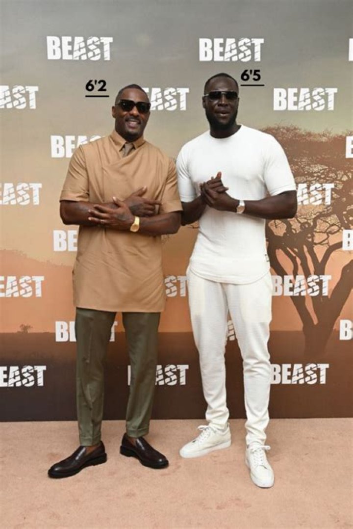 Idris Elba Height, Weight, Net Worth, Age, Birthday, Wikipedia, Who, Nationality, Biography