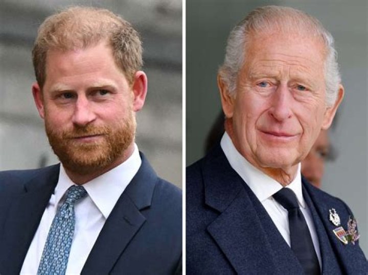 Prince Charles and Prince Harry look so alike with a beard - see the incredible photos