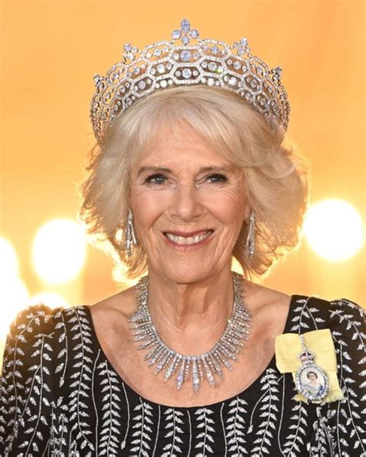 Queen Camilla sparkles in diamond tiara and shimmering gown for state banquet in Germany