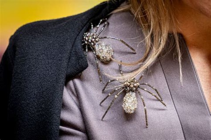 Queen Maxima turns heads wearing 'horrifying' spider brooches on her shoulder