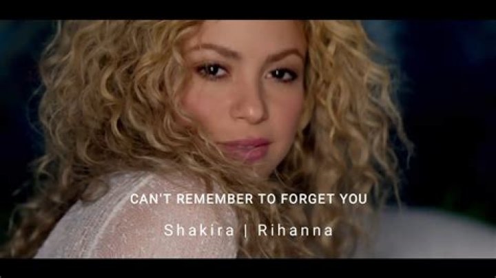 Shakira defends Can't Remember To Forget You music video