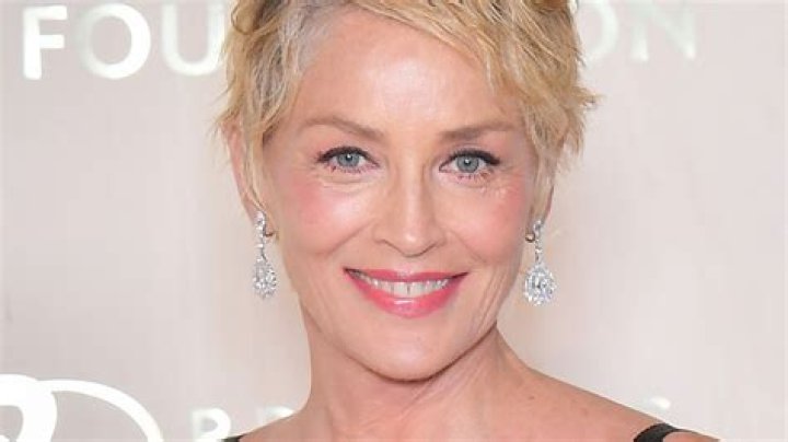 Sharon Stone looks fabulous in stylish mini dress while raising awareness for good cause