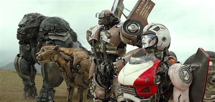 Tongayi Chirisa Age, Birthday, Wikipedia, Who, Nationality, Biography