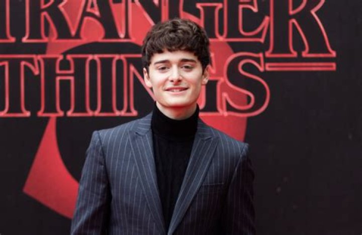Watch Stranger Things' star Noah Schnapp's brilliant coming-out TikTok